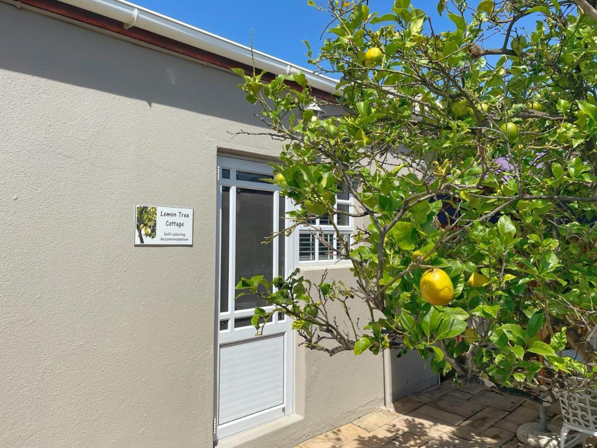 Lemon Tree Cottage Edgemead ภายนอก รูปภาพ